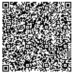 QR Code Pix